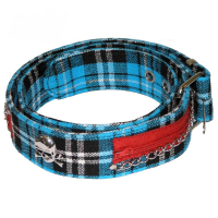 Blauer schottischer Punk-Nietengürtel