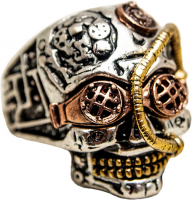 Ring aus Edelstahl - ER50061