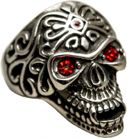 Ring aus Edelstahl - ER50063